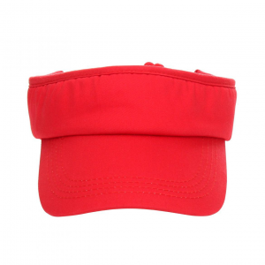 Daszek Sunvisor 32110