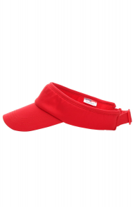 Daszek Sunvisor 32110